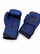 Chosen FIRST Boxing Gloves-blue